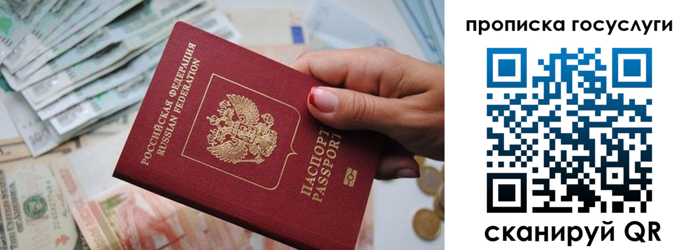 прописка поиск в Донецке